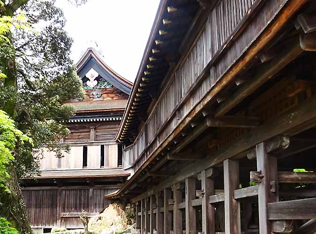 向こうのお堂がお寺、手前が神社。屋根に龍の彫刻
