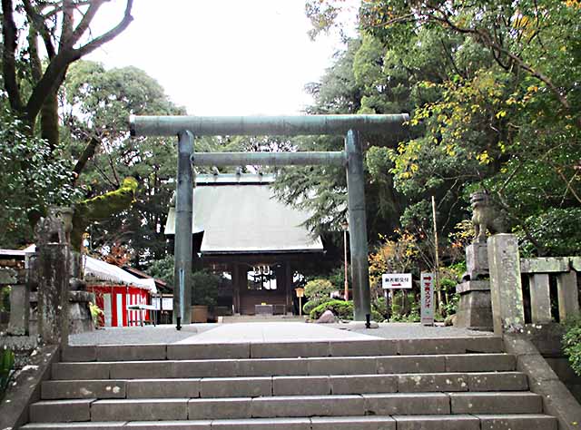 小田原・報徳二宮神社参道