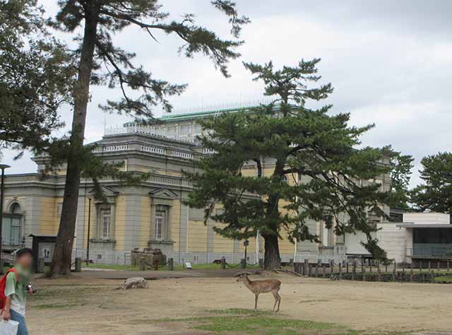 仏像館